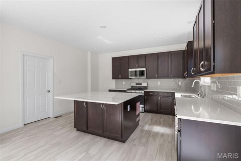 Tiny photo for 121 Cardinal Flower Drive, Wentzville, MO 63385 (MLS # 26024532)