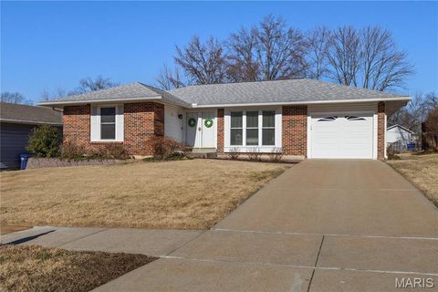 325 Bellezza Drive Ballwin MO 63021
