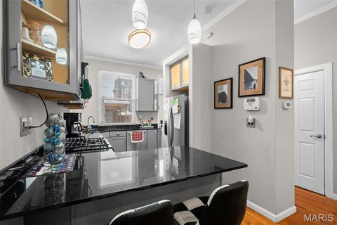 Tiny photo for 906 Rutger Street, St Louis, MO 63104 (MLS # 25079016)