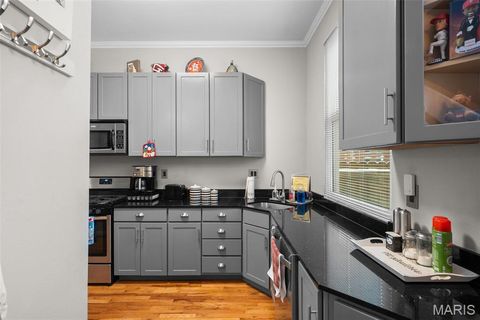 Tiny photo for 906 Rutger Street, St Louis, MO 63104 (MLS # 25079016)