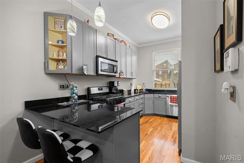 Tiny photo for 906 Rutger Street, St Louis, MO 63104 (MLS # 25079016)