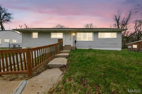 Photo of 3450 Wright Avenue, St Louis, MO 63074 (MLS # 26014583)