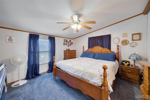 Tiny photo for 91 Lakeside Drive, Elsberry, MO 63343 (MLS # 26001343)