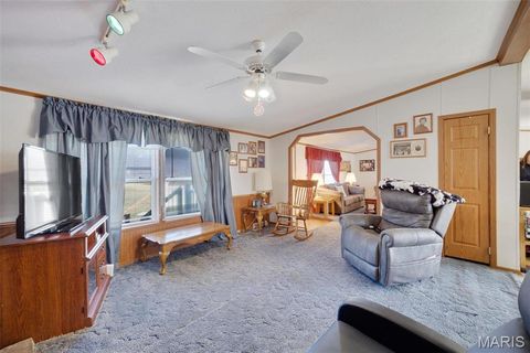 Tiny photo for 91 Lakeside Drive, Elsberry, MO 63343 (MLS # 26001343)