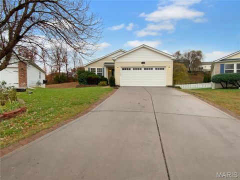 8 Liberty Landing Herculaneum MO 63048