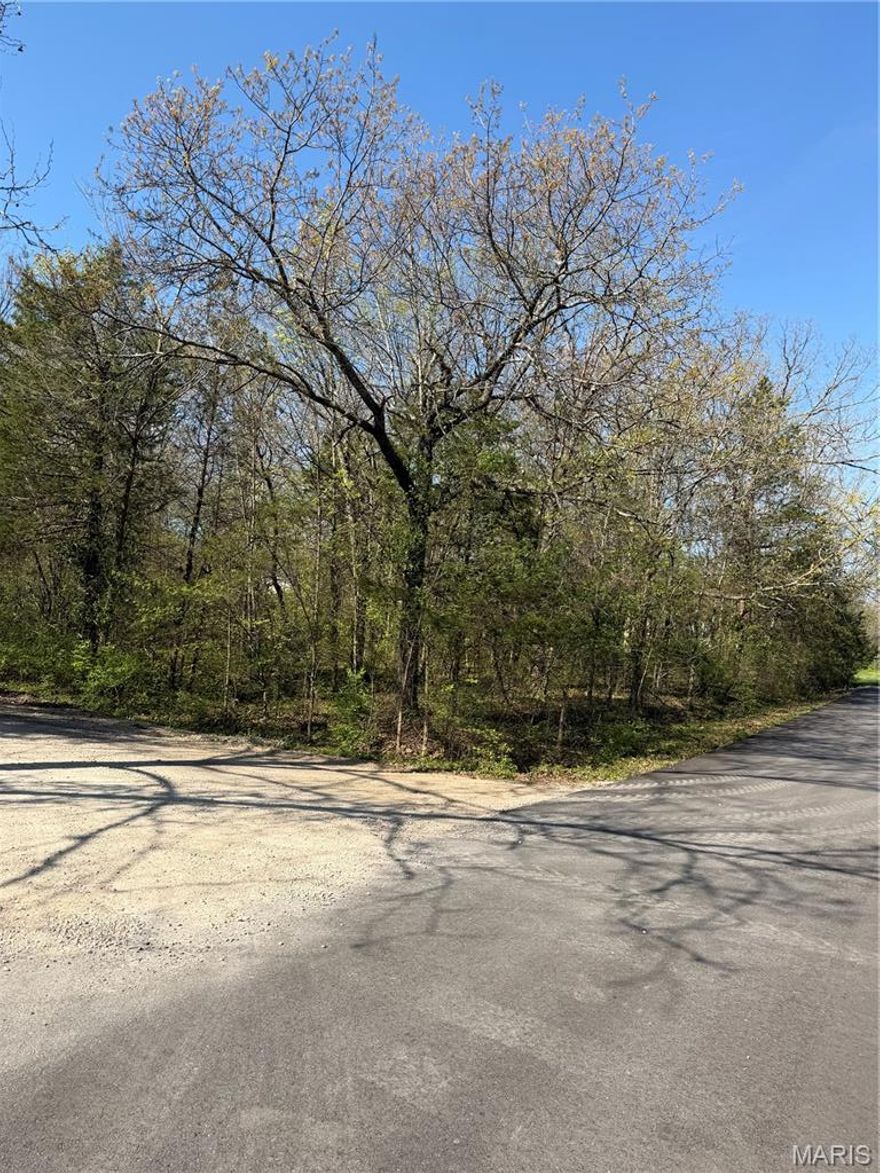 Great Terre Du Lac building lot.  Level corner lot on pavement.  North County School Dist.  Location  location location...