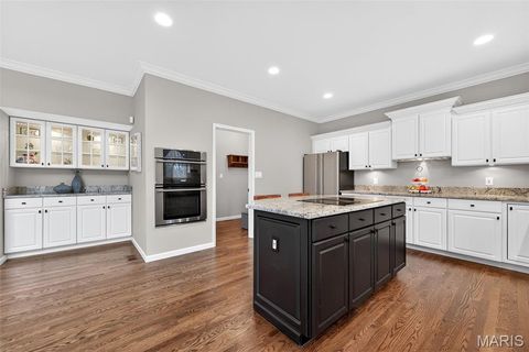 Tiny photo for 15595 Meadowbrook Circle Lane, Chesterfield, MO 63017 (MLS # 25079700)