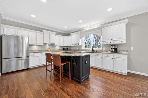 Tiny photo for 15595 Meadowbrook Circle Lane, Chesterfield, MO 63017 (MLS # 25079700)