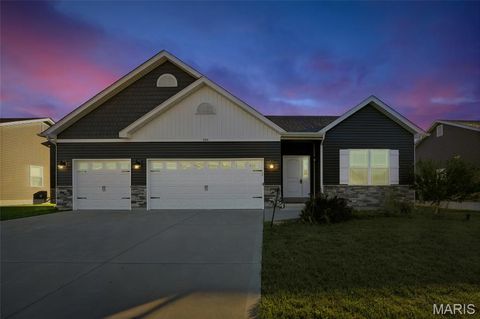 Tiny photo for 504 Summerbrook Estates Court, Wentzville, MO 63385 (MLS # 25068216)