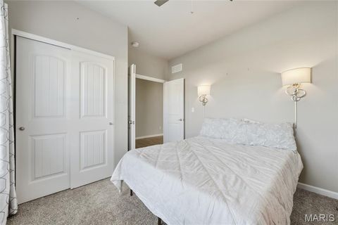 Tiny photo for 504 Summerbrook Estates Court, Wentzville, MO 63385 (MLS # 25068216)