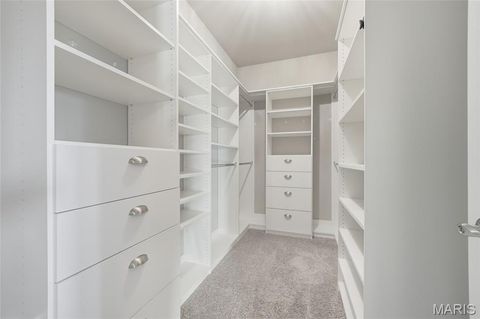 Tiny photo for 504 Summerbrook Estates Court, Wentzville, MO 63385 (MLS # 25068216)