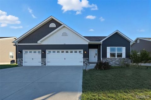 Tiny photo for 504 Summerbrook Estates Court, Wentzville, MO 63385 (MLS # 25068216)