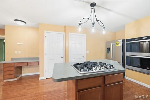 Tiny photo for 415 Forby Estates Drive, Eureka, MO 63025 (MLS # 26029702)