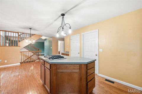 Tiny photo for 415 Forby Estates Drive, Eureka, MO 63025 (MLS # 26029702)