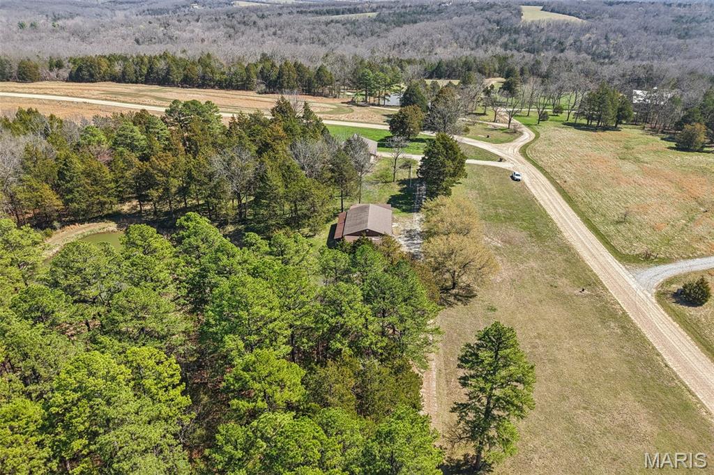 Cedar Tree - Residential