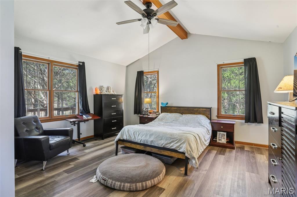 Cedar Tree - Residential