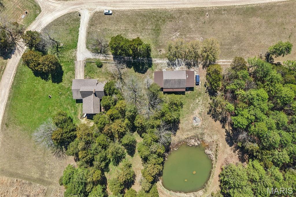 Cedar Tree - Residential