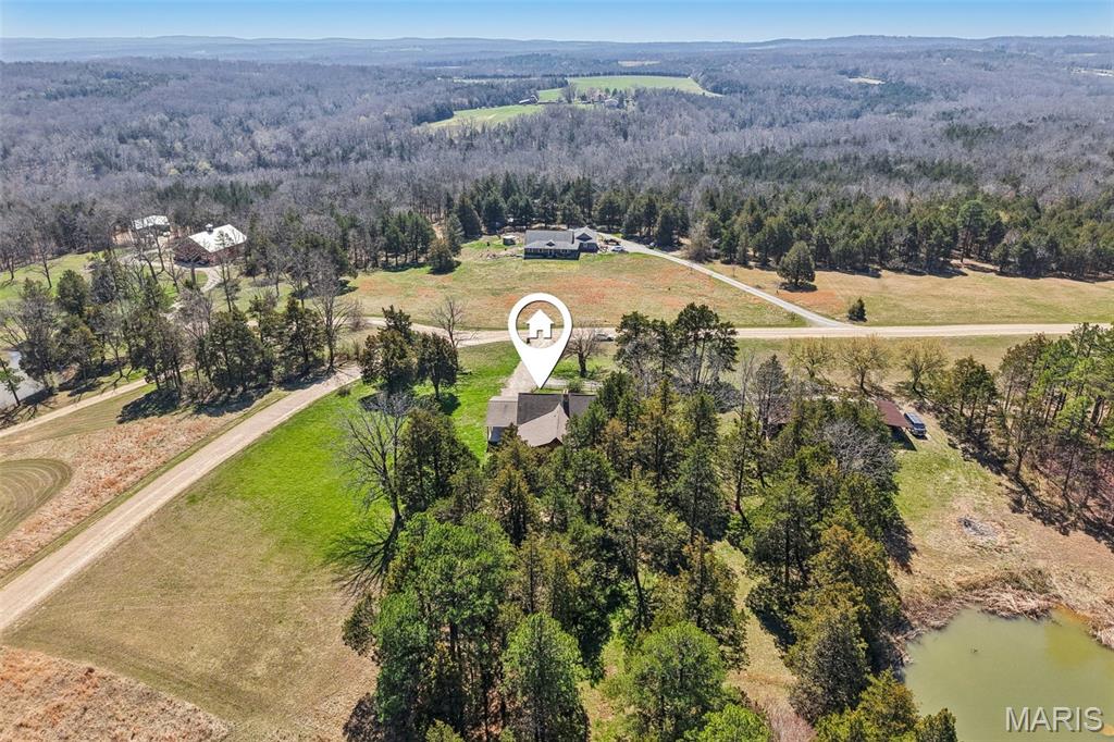 Cedar Tree - Residential