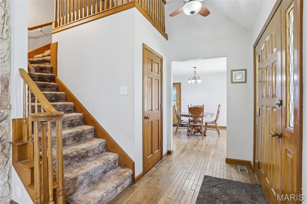 Cedar Tree - Residential