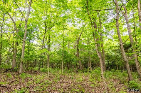 Tiny photo for 920 Deer Run Road, Elsberry, MO 63343 (MLS # 25033251)