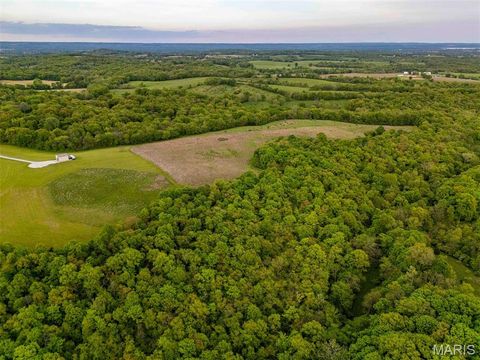 Tiny photo for 920 Deer Run Road, Elsberry, MO 63343 (MLS # 25033251)