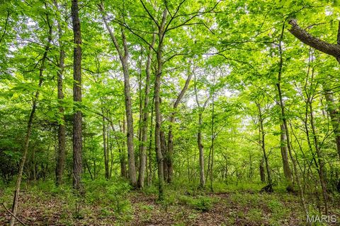 Tiny photo for 920 Deer Run Road, Elsberry, MO 63343 (MLS # 25033251)