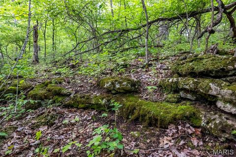 Tiny photo for 920 Deer Run Road, Elsberry, MO 63343 (MLS # 25033251)
