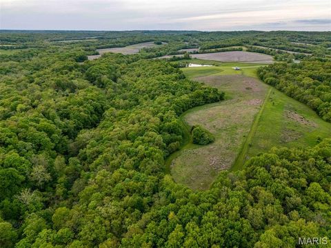 Tiny photo for 920 Deer Run Road, Elsberry, MO 63343 (MLS # 25033251)