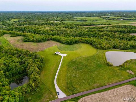 Tiny photo for 920 Deer Run Road, Elsberry, MO 63343 (MLS # 25033251)