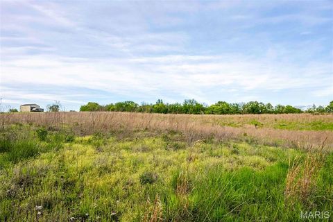 Tiny photo for 920 Deer Run Road, Elsberry, MO 63343 (MLS # 25033251)