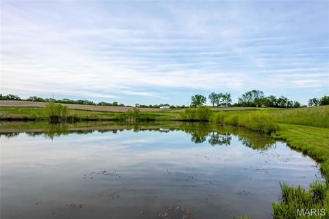 Tiny photo for 920 Deer Run Road, Elsberry, MO 63343 (MLS # 25033251)