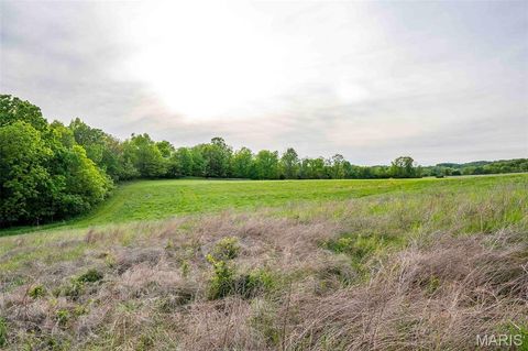 Tiny photo for 920 Deer Run Road, Elsberry, MO 63343 (MLS # 25033251)