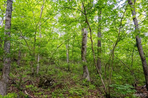 Tiny photo for 920 Deer Run Road, Elsberry, MO 63343 (MLS # 25033251)