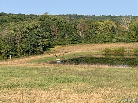 Tiny photo for 920 Deer Run Road, Elsberry, MO 63343 (MLS # 25033251)