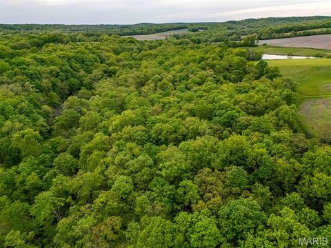 Tiny photo for 920 Deer Run Road, Elsberry, MO 63343 (MLS # 25033251)