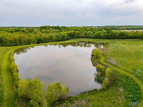 Tiny photo for 920 Deer Run Road, Elsberry, MO 63343 (MLS # 25033251)
