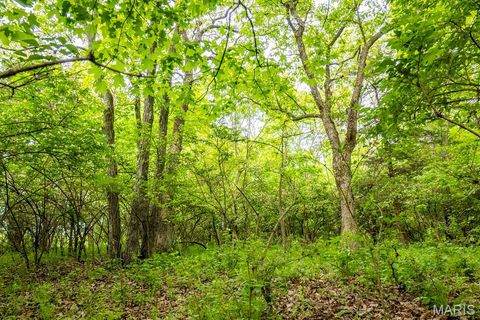 Tiny photo for 920 Deer Run Road, Elsberry, MO 63343 (MLS # 25033251)