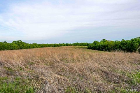 Tiny photo for 920 Deer Run Road, Elsberry, MO 63343 (MLS # 25033251)