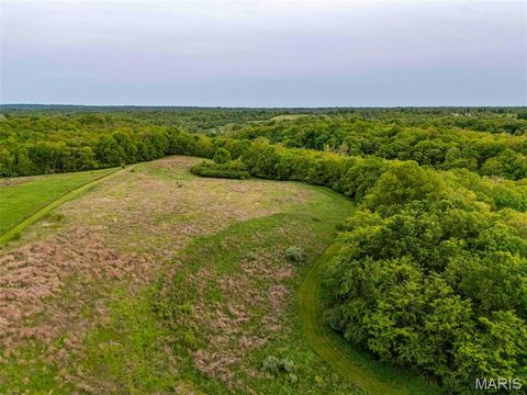 Tiny photo for 920 Deer Run Road, Elsberry, MO 63343 (MLS # 25033251)