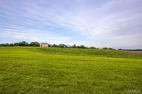 Tiny photo for 920 Deer Run Road, Elsberry, MO 63343 (MLS # 25033251)