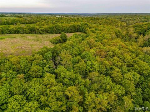 Tiny photo for 920 Deer Run Road, Elsberry, MO 63343 (MLS # 25033251)