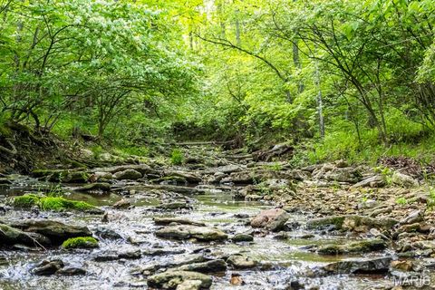Tiny photo for 920 Deer Run Road, Elsberry, MO 63343 (MLS # 25033251)