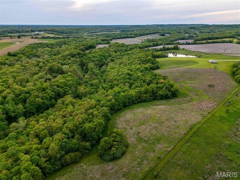 Tiny photo for 920 Deer Run Road, Elsberry, MO 63343 (MLS # 25033251)