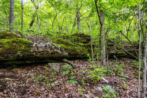 Tiny photo for 920 Deer Run Road, Elsberry, MO 63343 (MLS # 25033251)