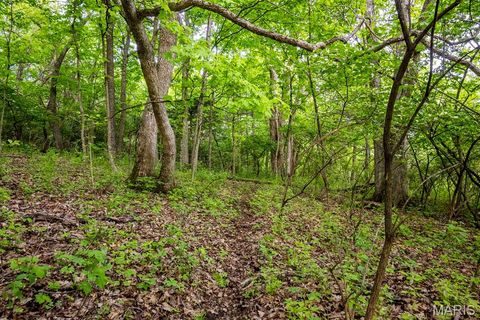 Tiny photo for 920 Deer Run Road, Elsberry, MO 63343 (MLS # 25033251)