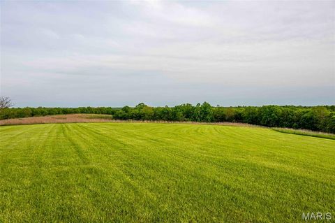 Tiny photo for 920 Deer Run Road, Elsberry, MO 63343 (MLS # 25033251)
