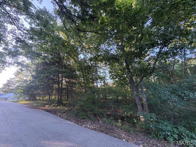 Raintree Plantation Sec 16 - Land