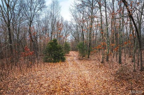 0 Christy Mine Road Bourbon MO 65441