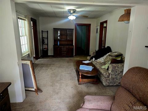 Tiny photo for 207 Morgan, Doniphan, MO 63935 (MLS # 26031271)