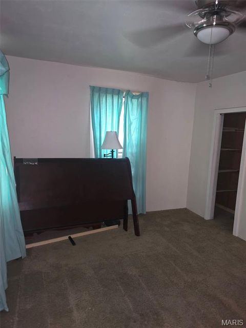 Tiny photo for 207 Morgan, Doniphan, MO 63935 (MLS # 26031271)